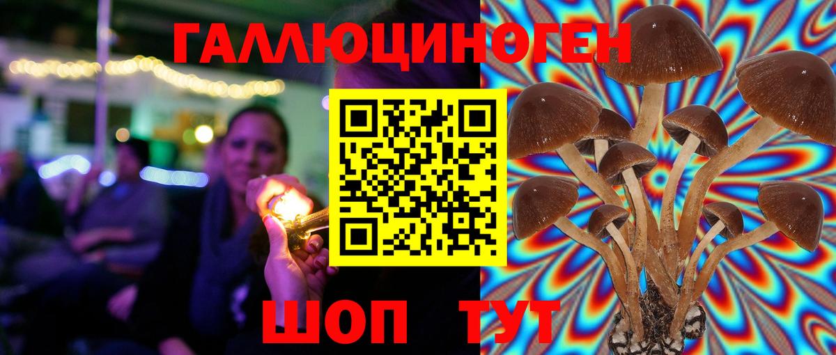 Псилоцибиновые грибы MAGIC MUSHROOMS  Вход с VPN  Псилоцибиновые грибы Psilocybe  Каменск-Шахтинский 
